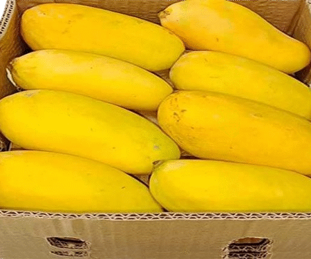 Multani Sindhri Mango – 8kg