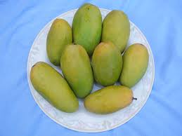 Dussehri Mango 8kg Box – دسہری آم